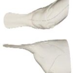 Paddlefish (Spoonbill) Head Form