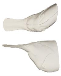 Paddlefish (Spoonbill) Head Form