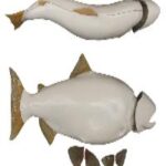 Female Chinook Salmon Form