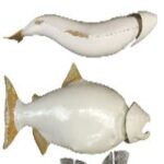 Male Chinook Salmon Form