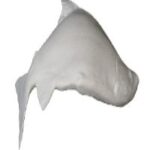 Sockeye Salmon Dead Form