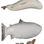 Male Steelhead Trout Form - No Gills