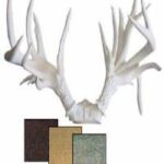 Antlers & Horns