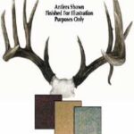 Antlers & Horns