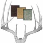 Antlers & Horns