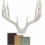 Antlers & Horns