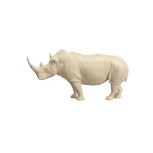 Miniature Rhino