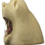 Rugshell