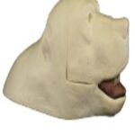 Rugshell