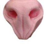 Noses & Septums