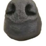 Noses & Septums