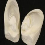 Ears