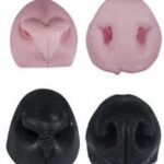 Noses & Septums