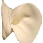 Ears