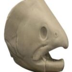 Silver/Kokanee Salmon Head