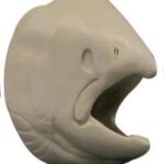 Female King Salmon Head