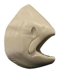 Salmon Chinook Male Head