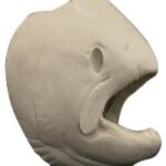 Salmon Chinook Female Head