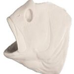 Flexible Fish Mouth Inserts Smallmouth Bass