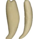 Rainbow Trout Form