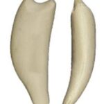 Rainbow Trout Form