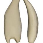 Rainbow Trout Form