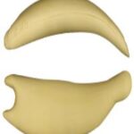 Steelhead Trout Body Form