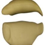 Steelhead Trout Body Form