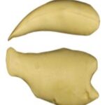 Steelhead Trout Body Form