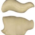 Steelhead Trout Body Form