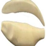 Steelhead Trout Body Form