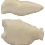 Steelhead Trout Body Form