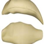 Steelhead Trout Body Form