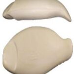 Steelhead Trout Body Form