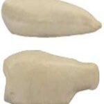 Steelhead Trout Body Form