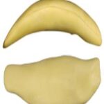 Steelhead Trout Body Form