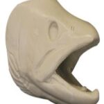 Brown Trout Head Form