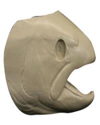 Steelhead Trout Head Form