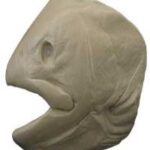 Female Rainbow Trout Head Form