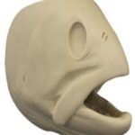 Female Cutthroat Trout Head Form