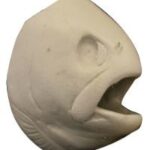 Female Rainbow Trout Head Form