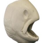 Female Rainbow Trout Head Form