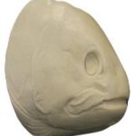 Female Rainbow Trout Head Form