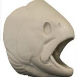 Trout Cutthroat Head Form