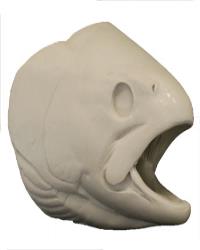 Trout Cutthroat Head Form