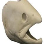 Rainbow/Steelhead Trout Head Form
