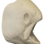 Rainbow/Steelhead Trout Head Form