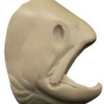 Male Steelhead Trout Head Form