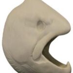 Male Steelhead Trout Head Form