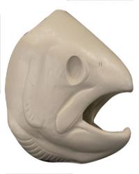 Male Steelhead Trout Head Form